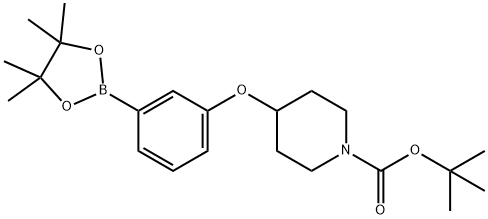 3-(N-BOC-Piperidin-4-yloxy)phenylboronic acid pinacol ester 结构式