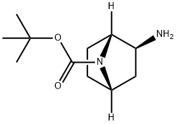 叔丁基(1R,2S,4S)-2-氨基-7-氮杂双环[2.2.1]庚烷-7-羧酸 结构式