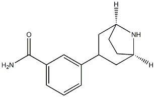 3-((1R,3r,5S)-8-azabicyclo[3.2.1]octan-3-yl)benzamide 结构式