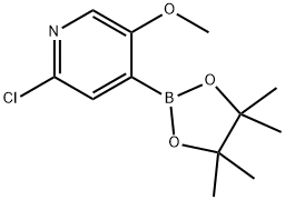 2-氯-5-甲氧基-4-(4,4,5,5-四甲基-1,3,2-二氧硼烷-2-基)吡啶 结构式