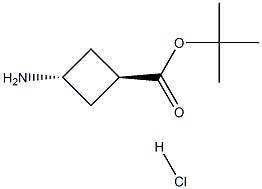 tert-butyl trans-3-aminocyclobutane-1-carboxylate hydrochloride 结构式