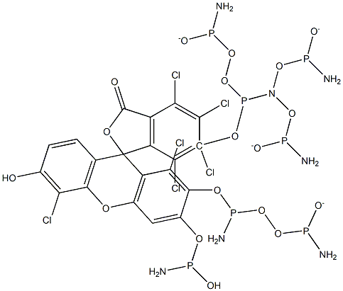 6-HEX氨基磷酸酯[5'-六氯荧光素氨基磷酸酯] 结构式