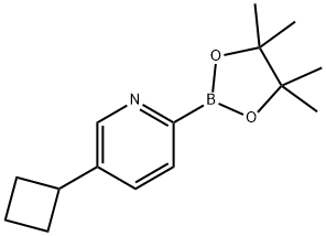 5-cyclobutyl-2-(4,4,5,5-tetramethyl-1,3,2-dioxaborolan-2-yl)pyridine 结构式