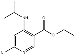 6-氯-4-(异丙基氨基)烟酸乙酯 结构式