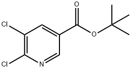 5,6-二氯吡啶-3-羧酸叔丁酯 结构式
