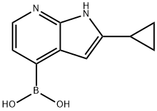 B-(2-环丙基-1H-吡咯并[2,3-B]吡啶-4-基)硼酸 结构式