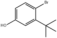 4-溴-3-叔丁基苯酚 结构式