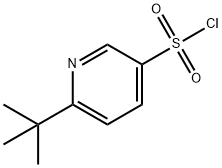 6-(叔丁基)吡啶-3-磺酰氯 结构式