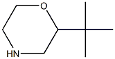 2-tert-butylmorpholine 结构式