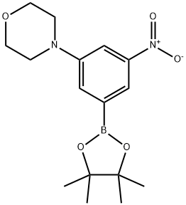 4-(3-nitro-5-(4,4,5,5-tetramethyl-1,3,2-dioxaborolan-2-yl)phenyl)morpholine 结构式