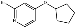 2-bromo-4-(cyclopentyloxy)Pyridine 结构式