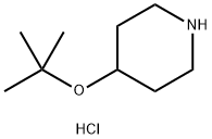 4-叔丁氧基环己胺盐酸盐 结构式