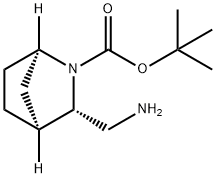 (1R,3S,4S)-tert-butyl 3-(aminomethyl)-2-azabicyclo[2.2.1]heptane-2-carboxylate 结构式