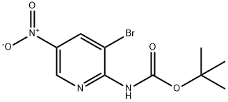 (3-溴-5-硝基吡啶-2-基)氨基甲酸叔丁酯 结构式