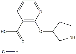 2-(Pyrrolidin-3-yloxy)nicotinic acid hydrochloride 结构式