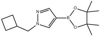 1-(CYCLOBUTYLMETHYL)-4-(4,4,5,5-TETRAMETHYL-1,3,2-DIOXABOROLAN-2-YL)-1H-PYRAZOLE 结构式
