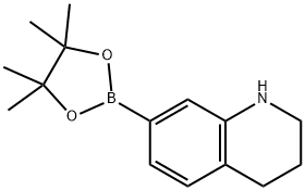 7-(4,4,5,5-四甲基-1,3,2-二氧硼戊环-2-基)-1,2,3,4-四氢喹啉 结构式