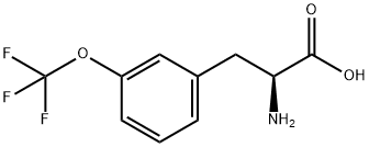 3-(三氟甲氧基)-L-苯丙氨酸 结构式