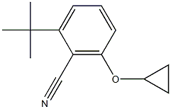 2-tert-butyl-6-cyclopropoxybenzonitrile 结构式