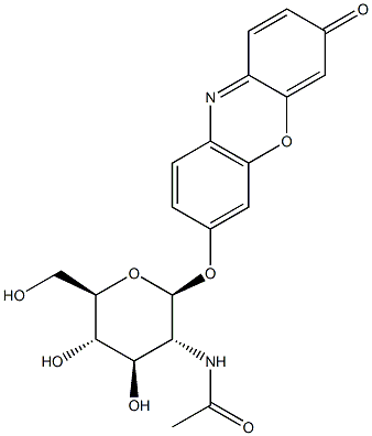 7-[[2-(乙酰氨基)-2-脱氧-BETA-D-吡喃葡萄糖基]氧基]-3H-吩恶嗪-3-酮 结构式