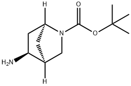 (1S,4S,5S)-5-氨基-2-氮杂双环[2.2.1]庚烷-2-羧酸叔丁酯 结构式