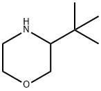 3-(叔丁基)吗啉 结构式