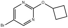 5-溴-2-环丁氧基嘧啶 结构式