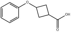 3-phenoxy-cyclobutanecarboxylic acid 结构式