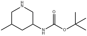 TERT-BUTYL (5-METHYLPIPERIDIN-3-YL)CARBAMATE 结构式