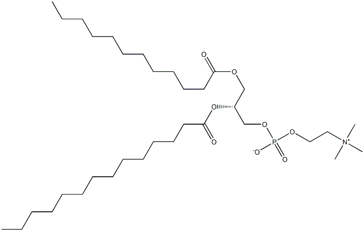 1-月桂酰-2-肉豆蔻酰基卵磷脂 结构式