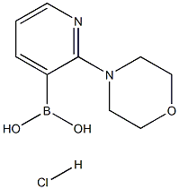 (2-吗啉吡啶-3-基)硼酸盐盐酸盐 结构式