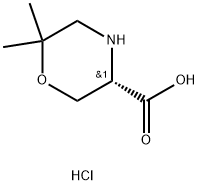 (S)-6,6 - 二甲基吗啉-3 - 羧酸盐酸盐 结构式