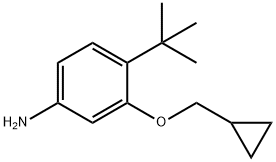 4-TERT-BUTYL-3-(CYCLOPROPYLMETHOXY)ANILINE 结构式