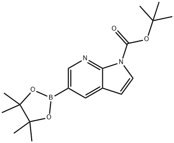 tert-butyl 5-(4,4,5,5-tetramethyl-1,3,2-dioxaborolan-2-yl)-1H-pyrrolo[2,3-b]pyridine-1-carboxylate 结构式