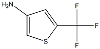 4-氨基-2-(三氟甲基)噻吩 结构式