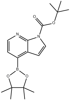 tert-butyl 4-(tetramethyl-1,3,2-dioxaborolan-2-yl)-1H-pyrrolo[2,3-b]pyridine-1-carboxylate 结构式