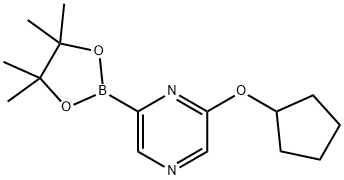 2-(cyclopentyloxy)-6-(4,4,5,5-tetramethyl-1,3,2-dioxaborolan-2-yl)Pyrazine 结构式