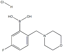 5-Fluoro-2-(morpholinomethyl)phenylboronic acid hydrochloride 结构式