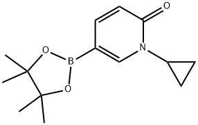 1-环丙基-6-氧代-1,6-二氢吡啶-3-硼酸频哪醇酯 结构式
