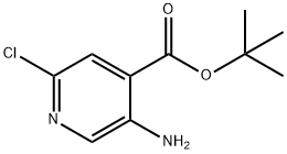 5-氨基-2-氯异烟酸叔丁酯 结构式
