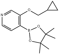 3-(环丙基甲氧基)-4-(4,4,5,5-四甲基-1,3,2-二氧苯甲醛-2-基)吡啶 结构式