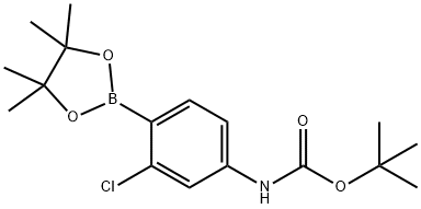 叔丁基(3-氯-4-(4,4,5,5-四甲基-1,3,2-二氧杂硼杂环戊烷-2-基)苯基)氨基甲酸酯 结构式