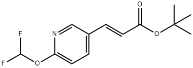 (E)-Tert-Butyl 3-(6-(Difluoromethoxy)Pyridin-3-Yl)Acrylate 结构式