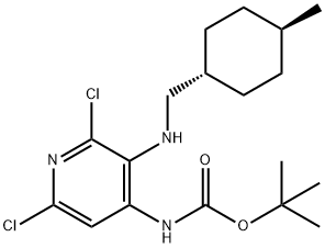 tert-butyl (2,6-dichloro-3-((((1r,4r)-4-methylcyclohexyl)methyl)amino)pyridin-4-yl)carbamate 结构式