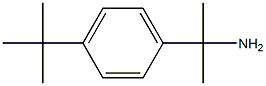 2-(4-(叔丁基)苯基)丙-2-胺 结构式