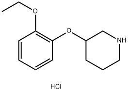 3-(2-ethoxyphenoxy)piperidinehydrochloride 结构式