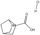 2-AZABICYCLO[2.2.1]HEPTANE-6-CARBOXYLIC ACID HYDROCHLORIDE 结构式