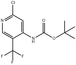 叔丁基(2-氯-5-(三氟甲基)吡啶-4-基)氨基甲酸酯 结构式