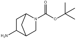 5-氨基-2-氮杂-双环[2.2.1]庚烷-2-羧酸叔丁基酯 结构式