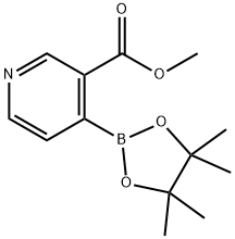 4-(4,4,5,5-四甲基-1,3,2-二氧硼杂环戊烷-2-基)烟酸甲酯 结构式